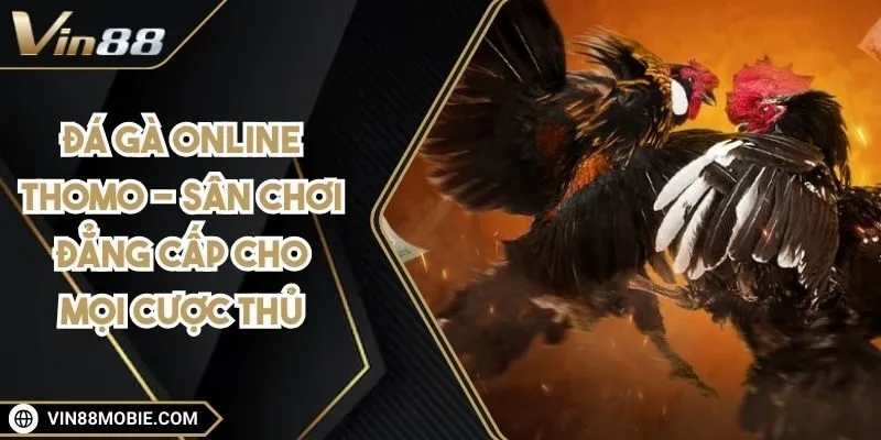 da-ga-online-thomo